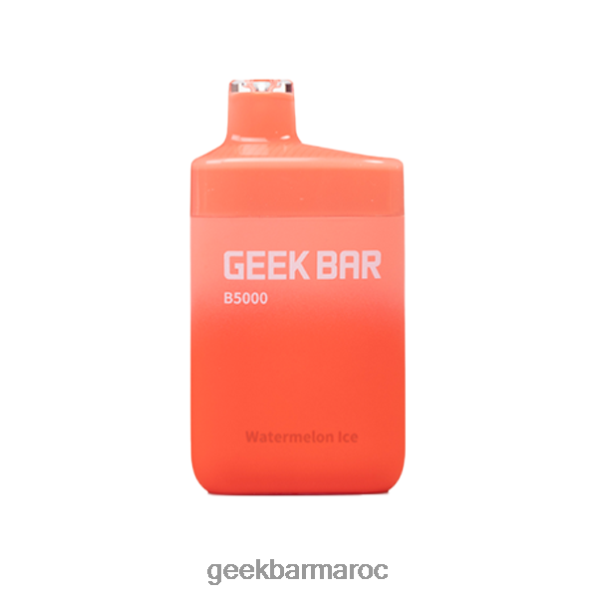 Geek Bar b5000 jetable glace à la pastèque 8F4DDR39 - Geek Bar فيب