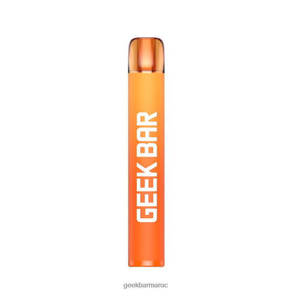 Geek Bar vape jetable e600 pêche aux pommes 8F4DDR192 - Geek Bar Casablanca